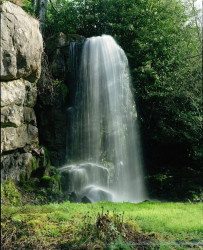 Things to do in County Kilkenny, Ireland - Kilfane Glen & Waterfall - YourDaysOut
