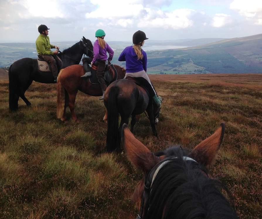 Things to do in County Wicklow, Ireland - Hollywood Horse and Pony Trekking - YourDaysOut