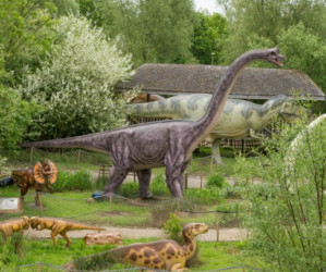 Things to do in England Milton, United Kingdom - Dinosaur and Farm Park - YourDaysOut