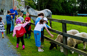 Things to do in County Roscommon, Ireland - Tullyboy Farm - YourDaysOut