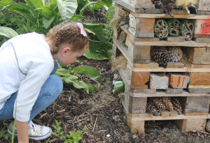 Things to do in ,  - Gardening and Biodiversity Workshop for Kids - YourDaysOut