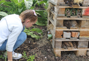 Things to do in ,  - Gardening and Biodiversity Workshop for Kids - Afternoon - YourDaysOut