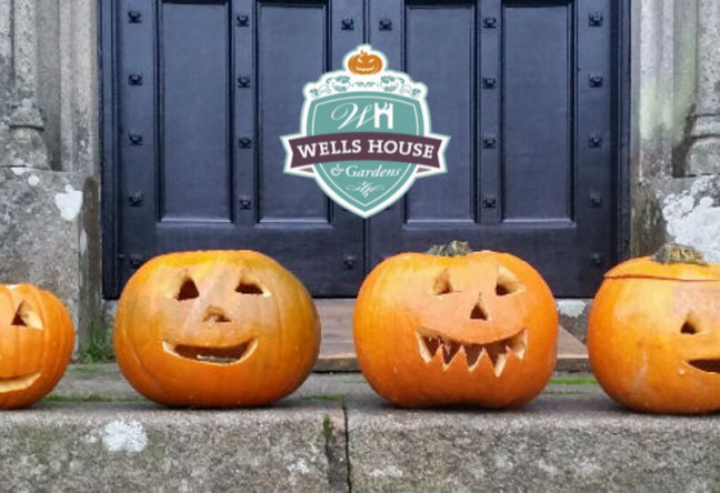Things to do in County Tipperary, Ireland - Halloween at Wells House - YourDaysOut