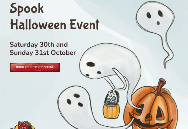 Things to do in County Laois, Ireland - Castleview Spook Halloween Event - YourDaysOut