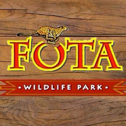 Music Workshop | Fota Wildlife Park logo