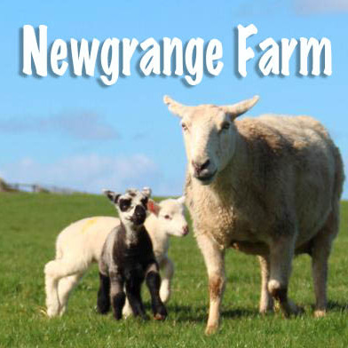 Newgrange Farm Archaeological Park Tour logo
