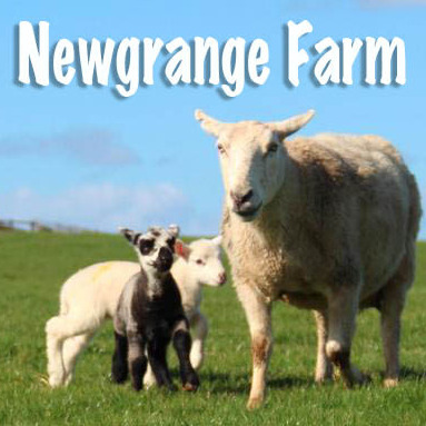 Newgrange Farm | Easter logo